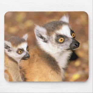 Mousepad África, Madagáscar, Reserva Privada de Berília.