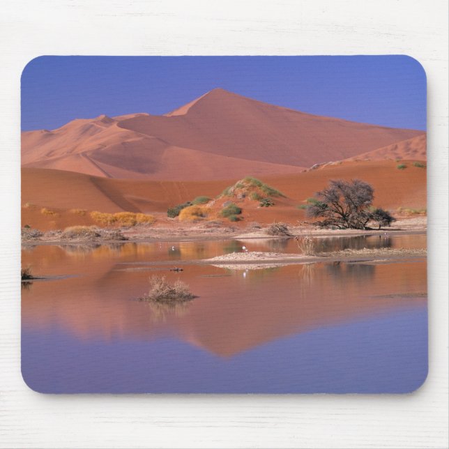 Mousepad África, Namíbia. Parque Namib-Naukluft. 2 (Frente)