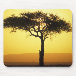 Mousepad África, Quênia, Masai Mara Game Reserve, Ascens