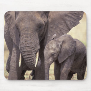 Mousepad África, Tanzânia, Parque Nacional de Tarangire. 2