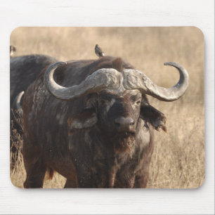 Mousepad Africa - The ox with horn large