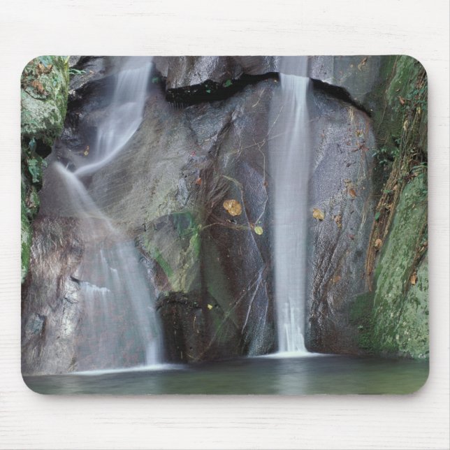 Mousepad África, Uganda, Bwindi, floresta tropical impenetr (Frente)