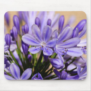 Mousepad Agapanthus