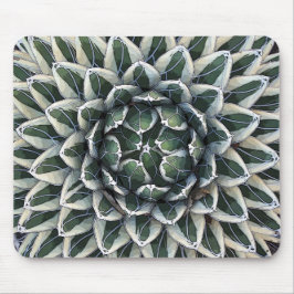 Mousepad Agave da rainha Victoria, variegated