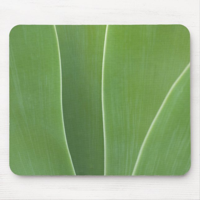 Mousepad Agave Feche a Planta (Frente)