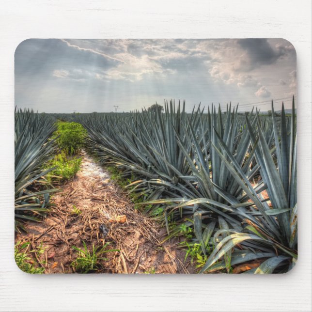 Mousepad Agave Tequilana (Frente)