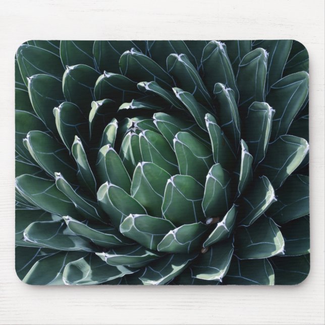 Mousepad Agave verde (Frente)