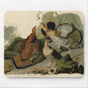 Mousepad Agrupamento Rachado - das Aves da América de Audub