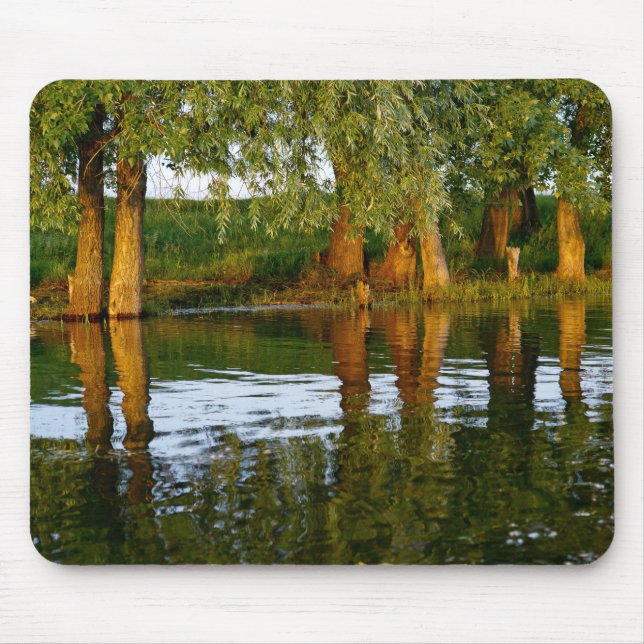 Mousepad Água e Árvores do Rio (Frente)