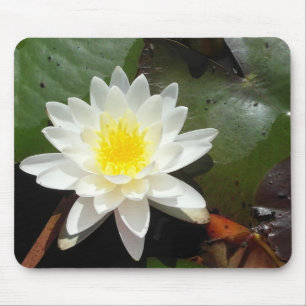 Mousepad Água Lily