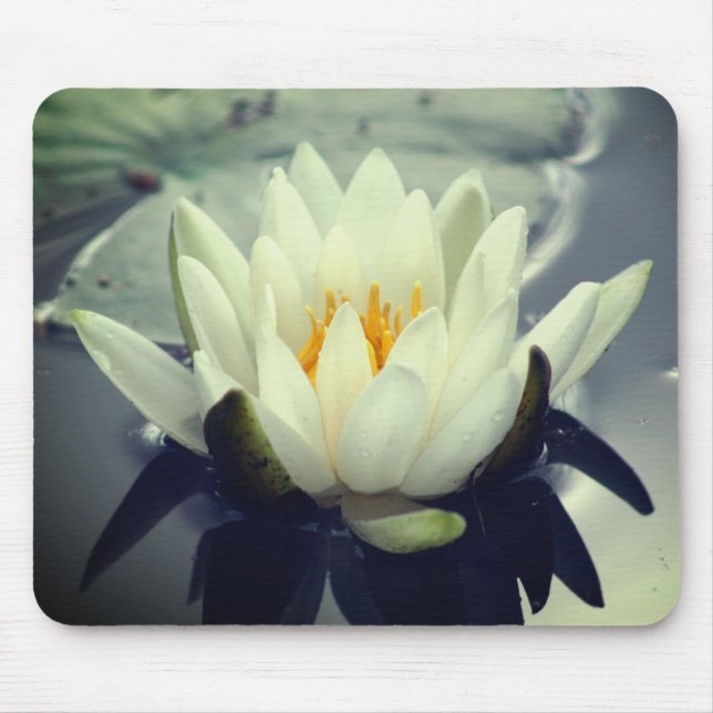 Mousepad Água Lily Lotus Flower (Frente)