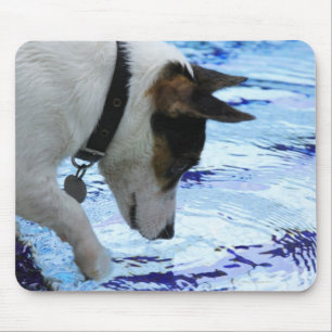Mousepad Água tocante do cão na piscina