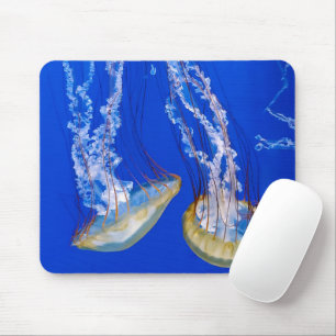 Mousepad Água-Velo Na Água Azul