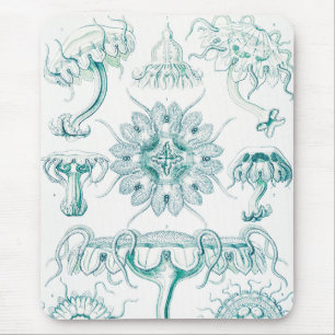Mousepad Água-viva, Desconto de Ernst Haeckel