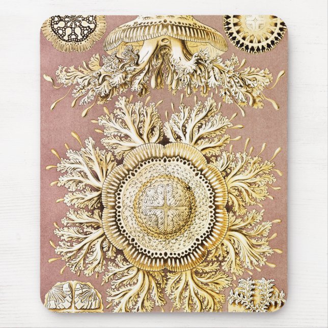 Mousepad Água-viva, Disco de Ernst Haeckel (Frente)
