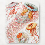 Mousepad Água-viva, Disco de Ernst Haeckel<br><div class="desc">Água-viva,  Disco Scheibenquallen por Ernst Haeckel Mouse Pad</div>