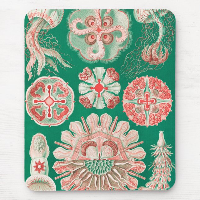 Mousepad Água-viva, Disco de Ernst Haeckel (Frente)