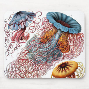 Mousepad Água-viva Vintage por Ernst Haeckel, Discomedusae