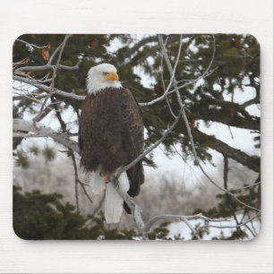 Mousepad Águia