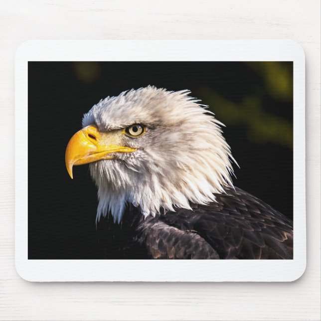 Mousepad Águia 2 (Frente)