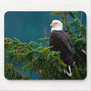 Mousepad Águia americana