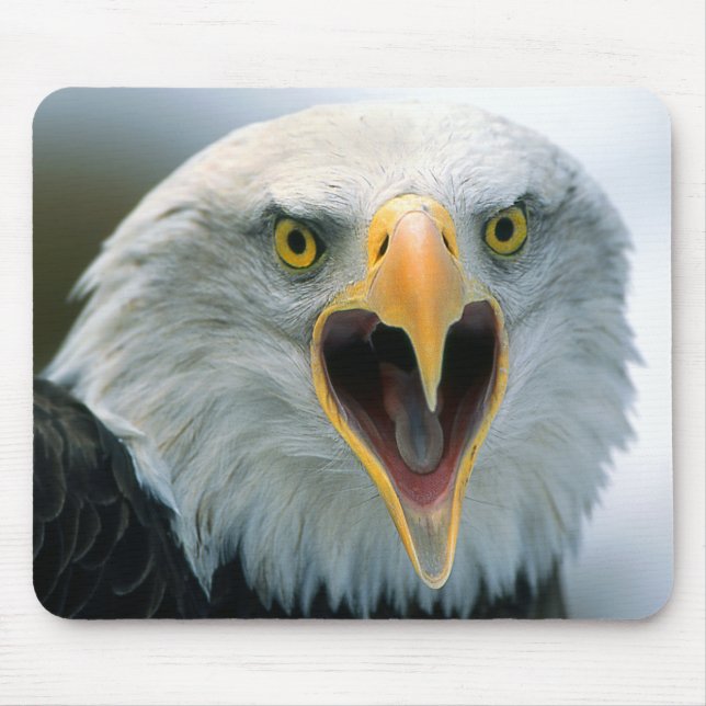 Mousepad Águia americana #2-Mousepad (Frente)
