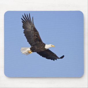 Mousepad Águia americana americana