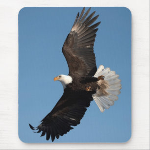 Mousepad Águia Americana em Voo