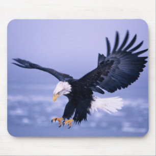 Mousepad Águia Americana Poisa com Asas Estendidas em uma T