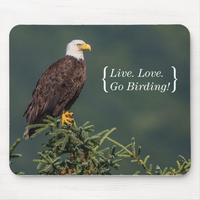 Mousepad Águia americana régia (Frente)