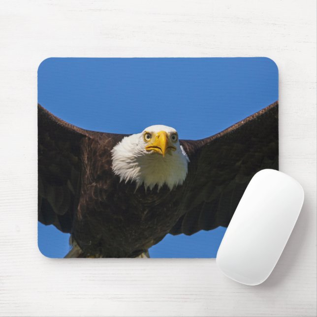 Mousepad Águia Americana Voando Perto (Com mouse)