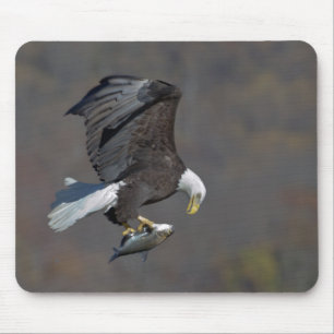 Mousepad Águia Balda com um peixe
