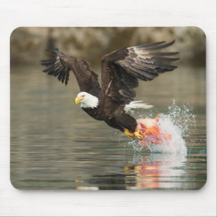 Mousepad Águia Balda Explosiva