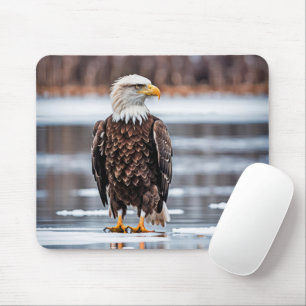 Mousepad Águia Balda No Lago Gelo