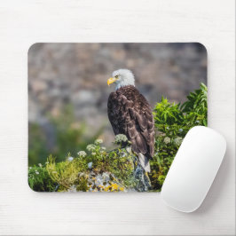 Mousepad Águia caída sentada na rocha