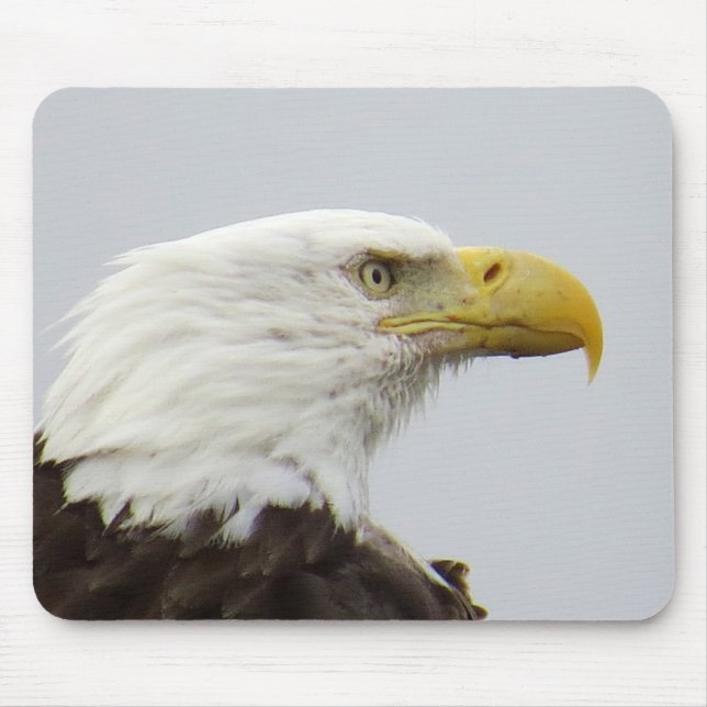 Mousepad Águia-careca (Frente)