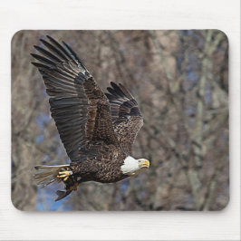 Mousepad Águia-careca com um peixe-gato