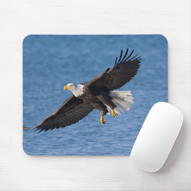 Mousepad Águia-careca em voo (Com mouse)