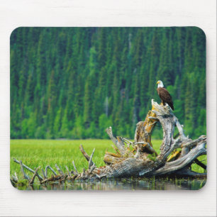 Mousepad Águia-careca Empoleirada No Galho