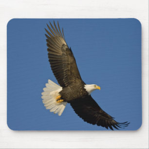 Mousepad Águia-careca, Haliaeetus leucocephalus, Homer,