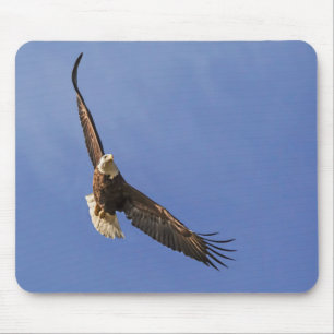 Mousepad Águia Careca Voando Alto