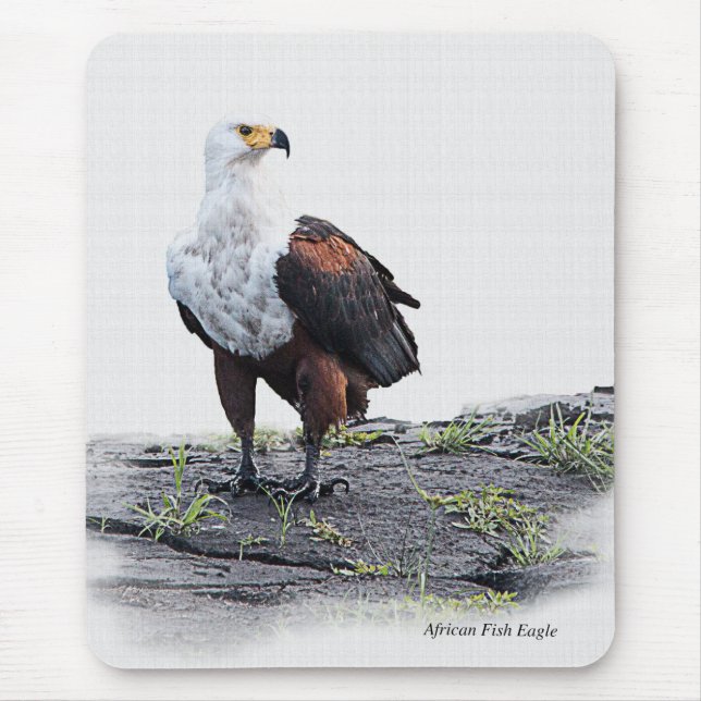 Mousepad Águia de Peixes Africanos de fundo branco (Frente)