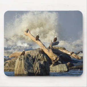 Mousepad Águia e Água Bruta