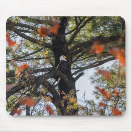 Mousepad Águia e Folhas Chatas