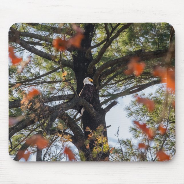Mousepad Águia e Folhas Chatas (Frente)