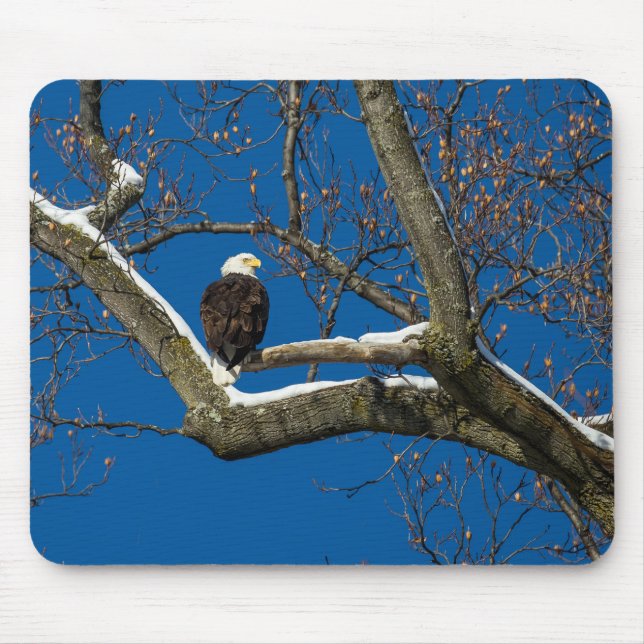 Mousepad Águia em uma Árvore Neve (Frente)