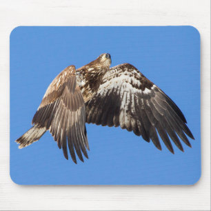 Mousepad Águia Juvenil Balda Em Voo