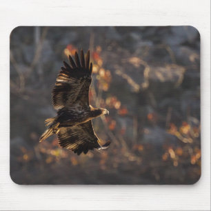 Mousepad Águia na Hora do Ouro