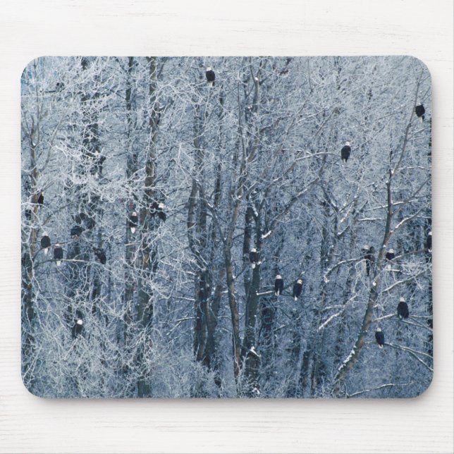Mousepad Águias-americanas (Frente)