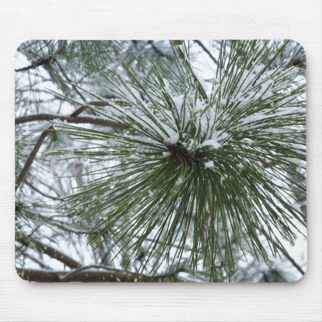 Mousepad Agulhas de Snowy Pine Fotografia de inverno (Frente)